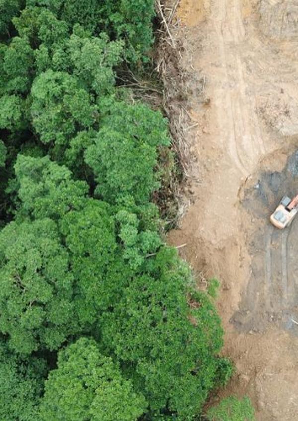 Foto: Kompas.com