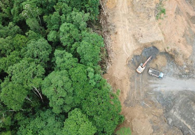 Foto: Kompas.com